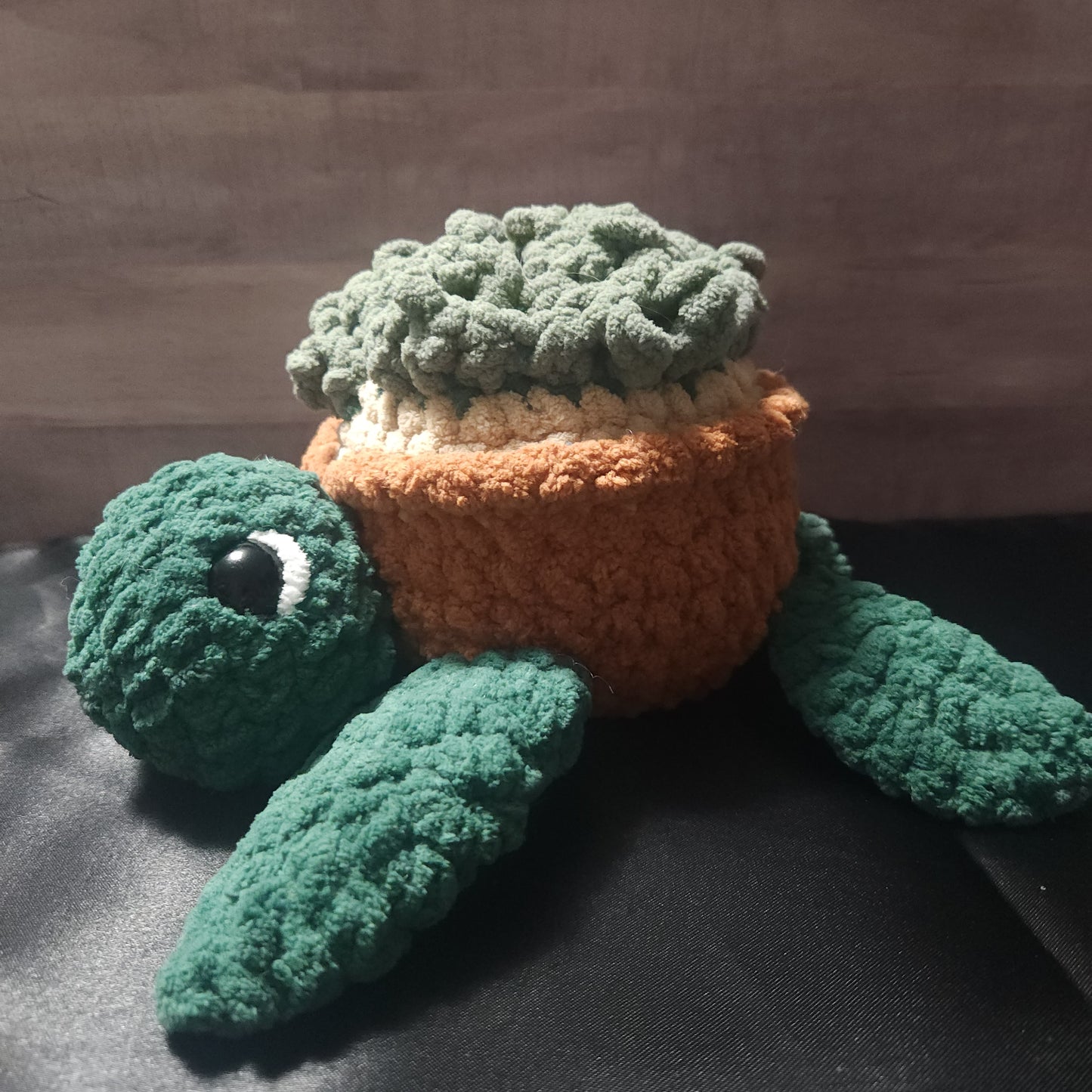 Succulent Turtle