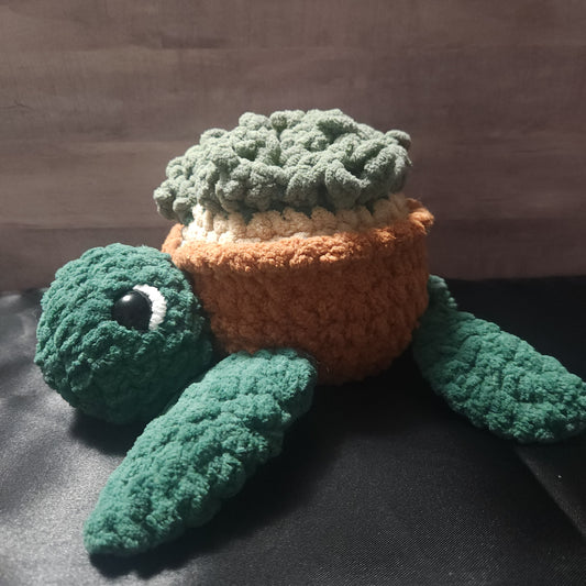 Succulent Turtle